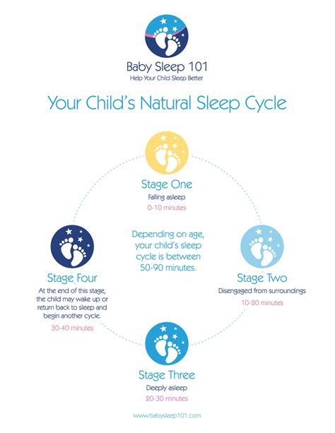 baby sleep cycles 4 months.